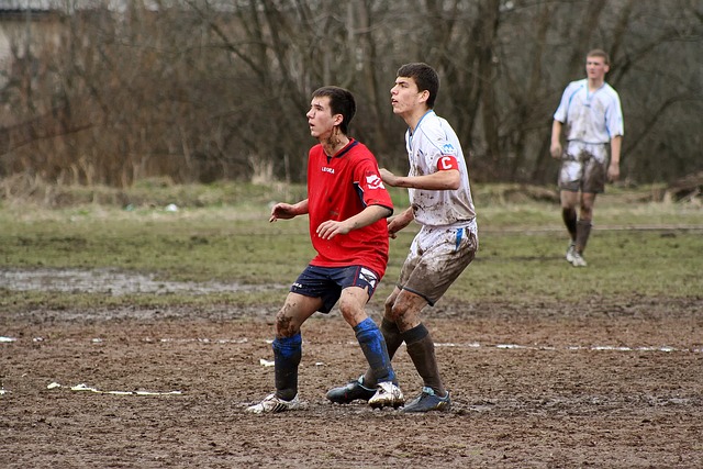 BA赛季中 BA赛季中