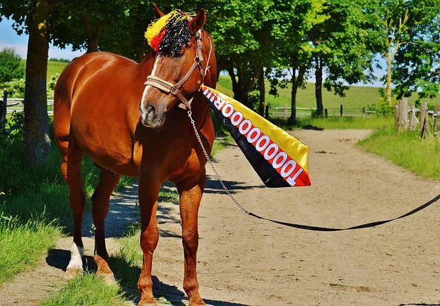 續發展的隊 續發展的隊