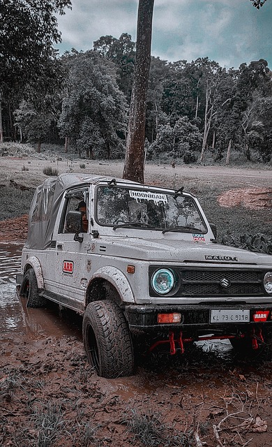 迷们上演一 迷们上演一