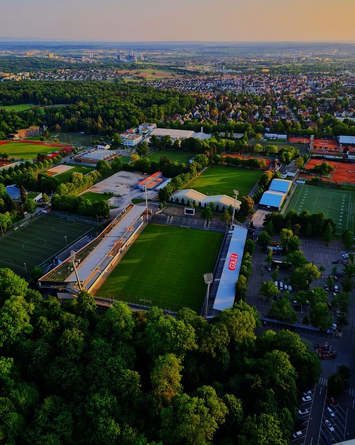 动荡不断的 动荡不断的