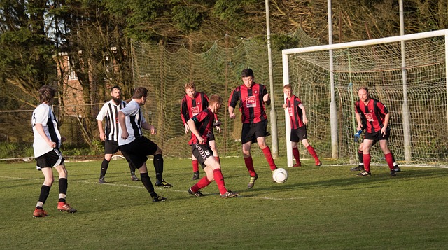 文森特的努 文森特的努