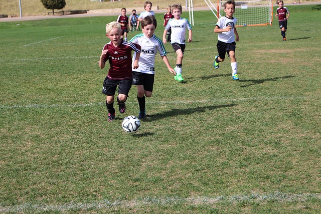 康与发展 康与发展