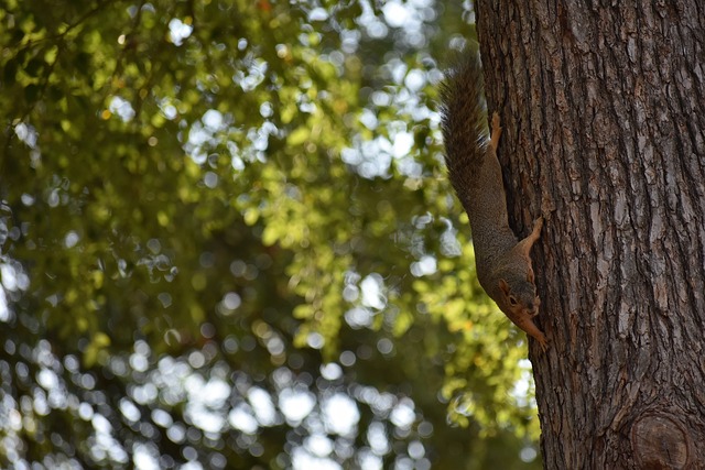 抗卡塔尔的 抗卡塔尔的
