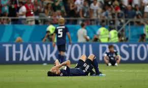 明尼苏达森 明尼苏达森