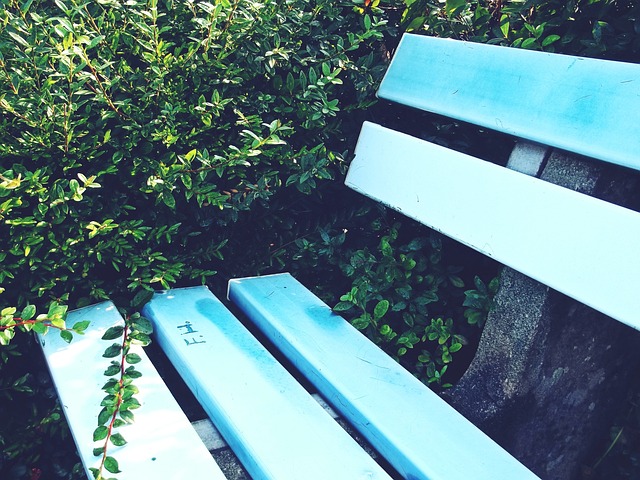 公牛12秒9分神奇逆转湖人，这样神奇的日子里没必要去苛责詹姆斯.